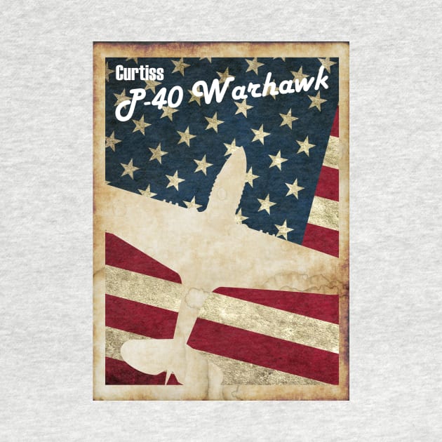 Vintage P40 Warhawk by aviationart